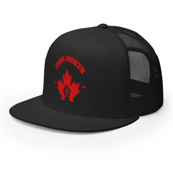 True North, Trucker Cap - Image 4