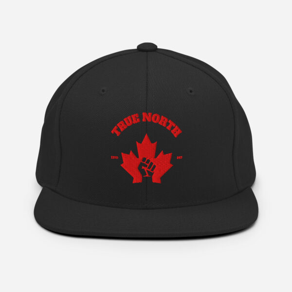 True North, classic Snapback Hat