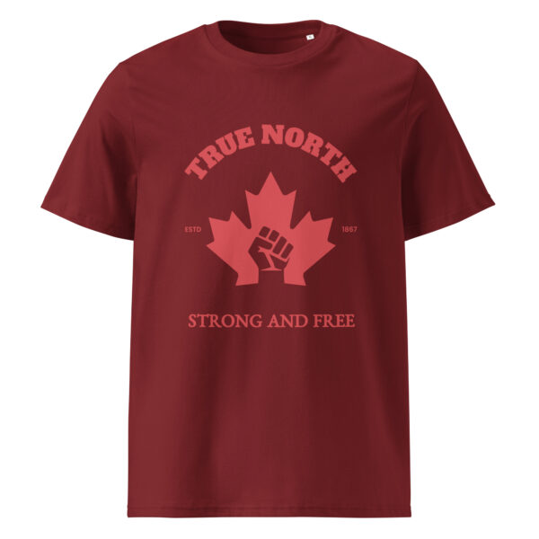 True North, Unisex organic ribbed neck t-shirt - Image 2
