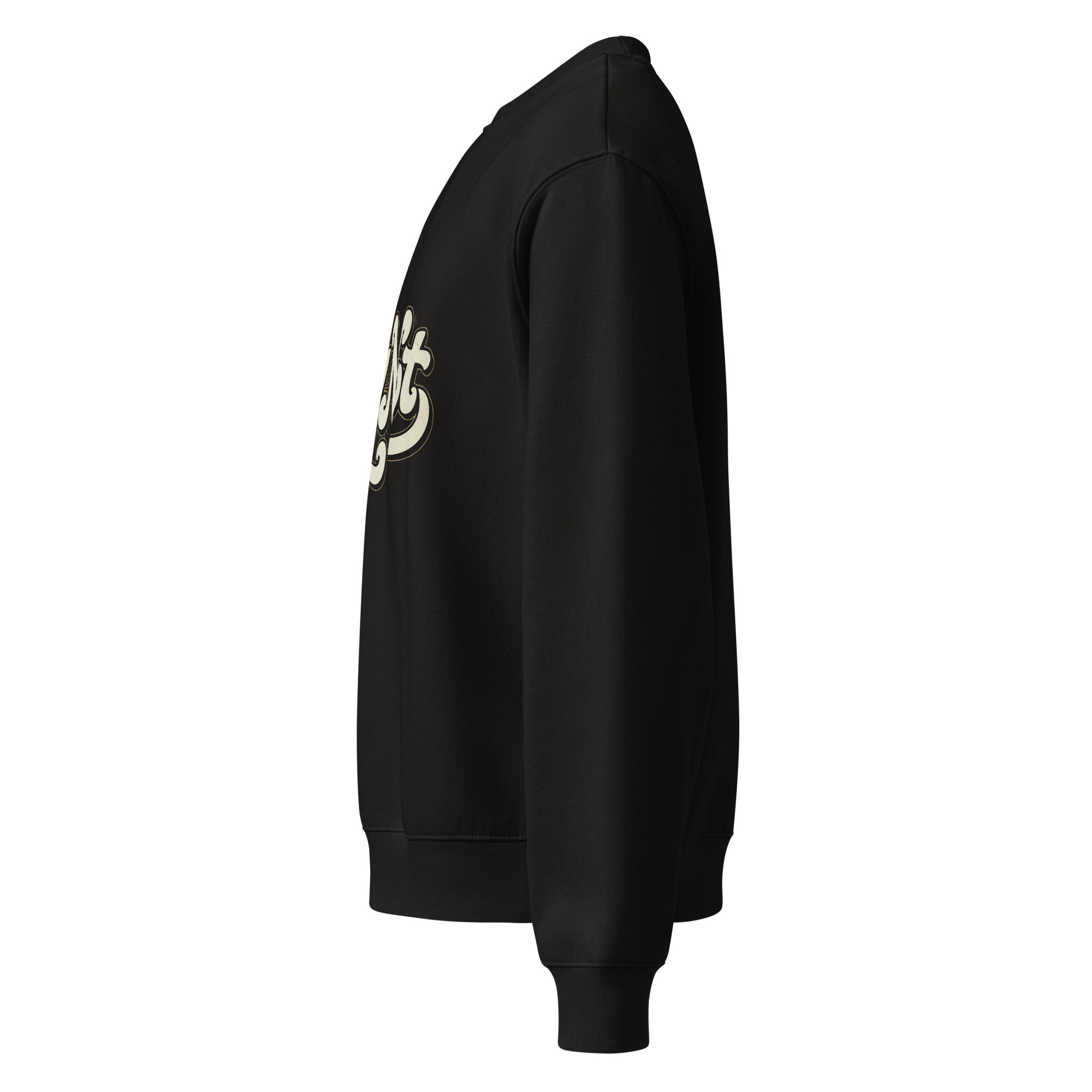 Why Not, typo logo, Oversized heavyweight sweatshirt - Image 3